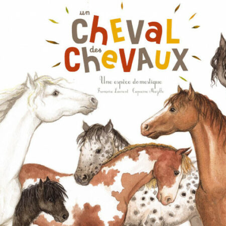 un cheval des cheveux