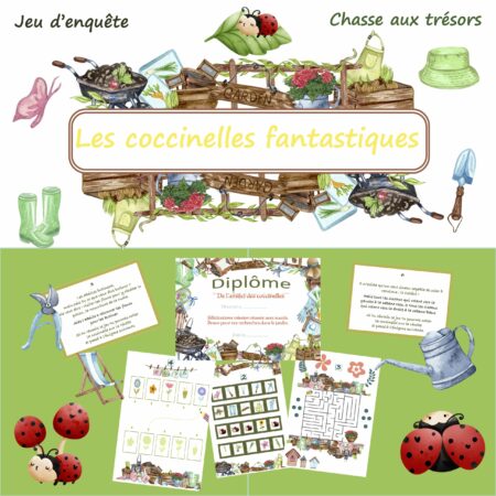 Les coccinelles fantastiques