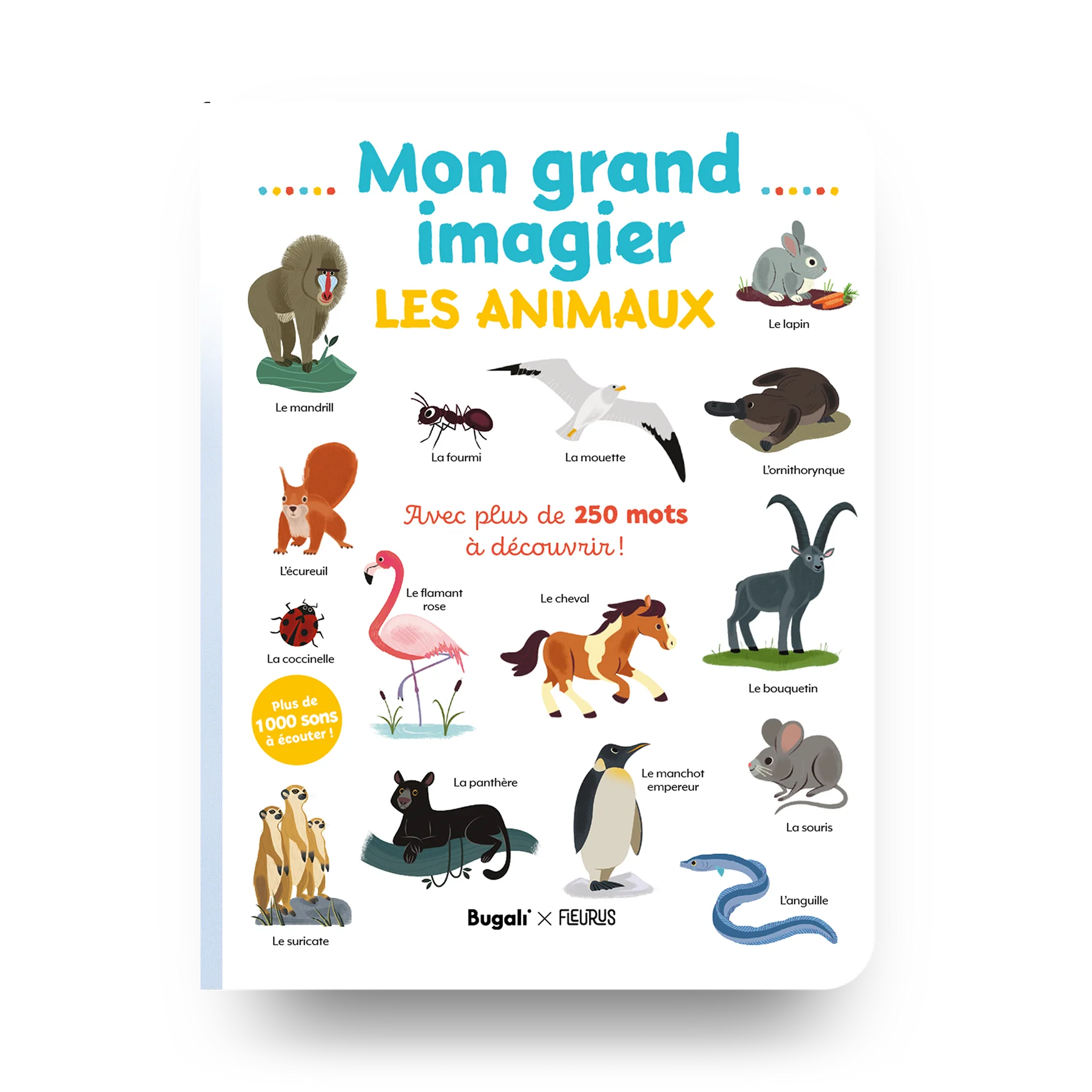 Mon grand imagier • les animaux (3+)