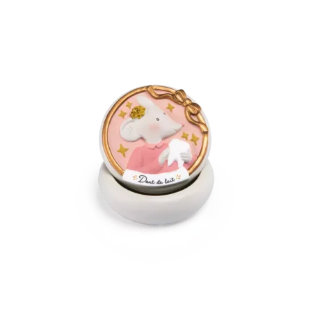 Boîte à dent de lait