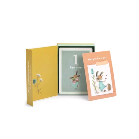 Cartes Mes 12 premiers mois