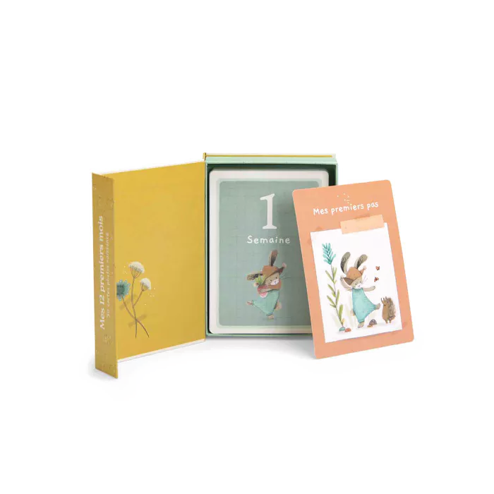 Cartes Mes 12 premiers mois