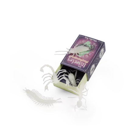 insectes phosphorescent
